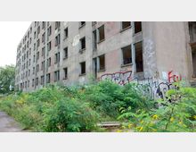 Ein verlassenes, mehrstöckiges Gebäude mit grauer Fassade und eingeschlagenen Fenstern, bedeckt mit Graffiti. Vor dem Gebäude wächst dichter Wildbewuchs mit grünen Pflanzen und gelben Blumen.