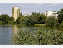 Wohngebäude mit mehreren Stockwerken im Hintergrund, umgeben von Bäumen und Grünflächen. Im Vordergrund ein See mit Schilf am Ufer bei sonnigem Wetter.