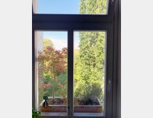 Ein rechteckiges Fenster mit Blick auf eine grüne, baumreiche Landschaft unter einem blauen Himmel. Auf dem Fensterbrett steht ein Blumenkasten mit kleinen Pflanzen, darunter ein rotblättriger Baum und Lavendel.