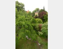 Blick über einen dicht bewachsenen Garten mit großen Laubbäumen, Sträuchern und Rasenfläche. Im Hintergrund ragen teilweise verdeckte Wohnhäuser mit Backsteinfassade und Satteldächern über das Grün.