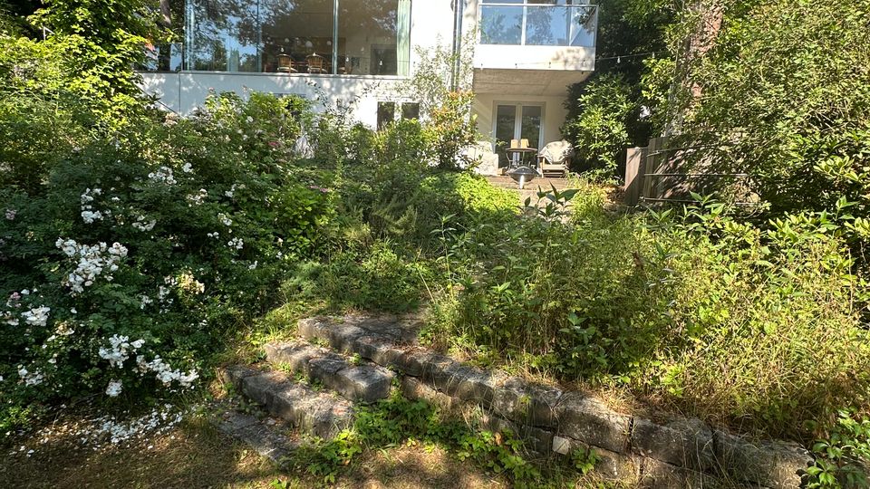 Modernes, weißes Flachdachhaus mit großen Fensterfronten und kleinem Balkon, eingebettet in einen dicht bewachsenen Garten. Im Vordergrund führen niedrige Natursteinstufen durch Sträucher und Bäume zu einer Terrasse am Haus.