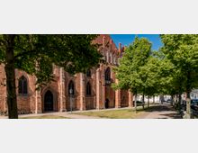 Backstein-Gotik-Kirche mit spitzbogigen Fenstern und Türen, flankiert von einem Gehweg und einer begrünten Allee mit schattenspendenden Bäumen. Im Hintergrund sind Häuserfassaden zu erkennen.