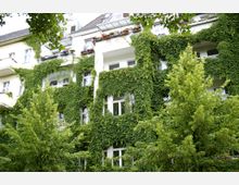 Wohngebäude mit außenliegender Fassade, die vollständig von dichtem, grünem Efeu bewachsen ist. Vor dem Gebäude stehen mehrere Bäume, die das Bild zusätzlich begrünen.