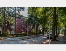 Straße mit Kopfsteinpflaster in einem Wohngebiet, flankiert von hohen Bäumen, die Schatten spenden. Im Hintergrund befindet sich ein mehrstöckiges Wohngebäude mit roter Fassade und vielen Fenstern, daneben steht ein Straßenschild.