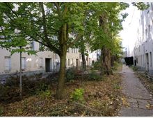 Eine schmale, mit Kopfsteinpflaster bedeckte Seitenstraße, gesäumt von alten, verfallenen Mehrfamilienhäusern mit abblätternder Fassade. Auf beiden Seiten stehen Bäume mit grünem Laub, während der Boden mit Laub und Ästen bedeckt ist.