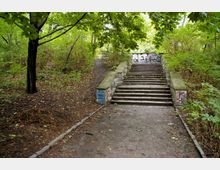 Treppenaufgang aus Stein in einem parkähnlichen Waldgebiet, umgeben von dichtem grünen Laub und niedrigem Unterholz; die Steinwände der Treppe sind teilweise mit Graffiti besprüht.