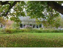 Ein Garten mit einer großen Rasenfläche, umgeben von bunten Blumenbeeten und Büschen. Im Hintergrund ein Haus mit großen Fenstern und einem grauen Satteldach, teils verdeckt von tiefhängenden Baumästen.