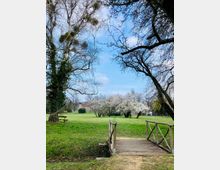 Kleine Holzbrücke über einen schmalen Graben in einem Park mit grüner Wiese, blühenden Bäumen und vereinzelten Gebäuden im Hintergrund. Umrahmt von kahlen und mit Misteln bewachsenen Bäumen.