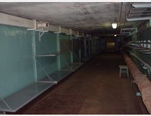 Ein langer, schmaler unterirdischer Tunnel mit grünen Wänden und Metallregalen an der linken Seite, die mit Ketten befestigt sind. Rechts verlaufen Rohre entlang der Wand, und die Decke ist mit einer einfachen Leuchtstofflampe beleuchtet.