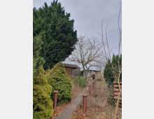 Ein schmaler Gartenweg führt durch einen überwachsenen Garten mit kleinen Sträuchern, einem hohen Nadelbaum und kahlen Bäumen. Im Hintergrund sind eine Holzhütte, eine kleine Wand und ein gemauerter Grill zu erkennen.