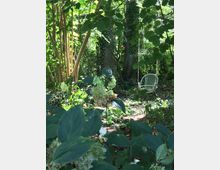 Ein schattiger Garten mit dichtem Grün, einer weißen Schaukel, die an einem Baum hängt, und einer kleinen Skulptur, die zwischen Hortensien und anderen Pflanzen steht. Im Hintergrund sind mehrere mit Efeu bewachsene Baumstämme zu sehen.