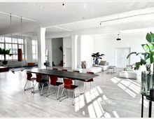 Großzügiger, heller Raum mit weißen Wänden, großen Fenstern und hellem Holzboden. Im Vordergrund steht ein langer Tisch mit Stühlen, im Hintergrund befinden sich eine Sitzecke mit sofas und Pflanzen sowie ein Boxsack und Hängeseile.