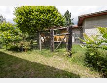Blick auf einen verwilderten Garten mit hohem Gras, Büschen und mehreren Bäumen, der durch einen Maschendrahtzaun mit einem alten Holztor abgegrenzt ist. Rechts steht ein eingeschossiges Wohnhaus mit verputzter Fassade, Fenster und Dachüberstand.