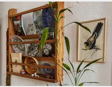 Holzregal an einer strukturierten weißen Wand, gefüllt mit dekorativen Tellern, Büchern und kleinen Figuren. Daneben hängt ein gerahmtes Vogelbild, und im Vordergrund sind grüne Blätter einer Zimmerpflanze sichtbar.
