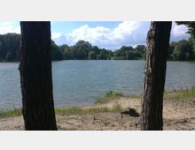 Ein See mit ruhiger Wasseroberfläche, flankiert von Bäumen und dichtem Grün im Hintergrund. Im Vordergrund stehen zwei Baumstämme und ein sandiger, grasbewachsener Uferbereich.