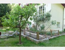 Ein kleiner Garten mit Rasenfläche und einem Obstbaum im Vordergrund. Neben einem hellen Haus mit großen Sprossenfenstern befindet sich ein Hochbeet, das von einem niedrigen Holzzaun umgeben ist, sowie blühende Rosensträucher an der Fassade.