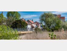 Eine ruhige Dorfstraße mit kleinen Häusern und roten Ziegeldächern, umgeben von grünen Bäumen und Sträuchern. Im Vordergrund ist eine Brücke mit Geländer und trockenem Schilf zu sehen, während Menschen entlang des Gehwegs spazieren.