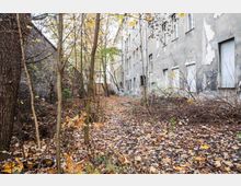 Verwilderter Innenhof mit herbstlichem Laub, umgeben von einer bröckelnden Hausfassade auf der rechten Seite und einer hohen Backsteinmauer auf der linken Seite. Kahle Bäume und Sträucher ragen in den Hof hinein.