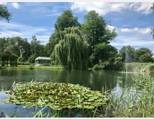 Ein idyllischer Teich mit Seerosen im Vordergrund, umgeben von Schilf und grünen Bäumen. Im Hintergrund befinden sich ein großes, hängendes Weidenbaum und ein gläsernes Pavillongebäude.