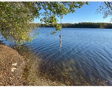 Ein Uferbereich eines Sees mit klarem Wasser und kiesigem Boden, umgeben von herbstlich gefärbten Bäumen. Ein Seil mit Knoten hängt von einem Ast über dem Wasser, während Blätter den Boden am Ufer bedecken.