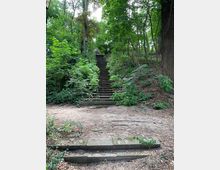 Steintreppe in einem Waldgebiet, umgeben von dichter, grüner Vegetation und hohen Bäumen. Die Treppe führt bergauf und ist teilweise von Moos bewachsen, während der Boden davor aus Erde und kleinen Pflanzen besteht.