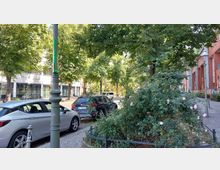 Straßenszene mit parkenden Autos entlang eines Gehwegs, umgeben von Bäumen und Büschen mit blühenden Rosen. Im Hintergrund sind moderne Gebäude mit großen Fenstern und ein rotes Backsteingebäude zu sehen, eingerahmt von Straßenlaternen.