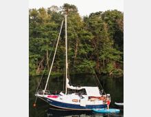 Segelboot auf einem ruhigen See, umgeben von einem dichten Wald im Hintergrund. Eine Person steht auf einem Stand-Up-Paddleboard neben dem Boot, während eine weitere Person sich auf dem Deck befindet.