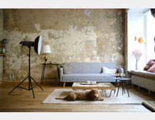 Wohnzimmer mit industriellem Stil, einer grauen Couch vor einer abgenutzten, strukturierten Wand, einem Holzboden und einem flauschigen Teppich. Im Vordergrund liegt ein Hund, daneben ein rustikaler Couchtisch, moderne Beistelltische und Dekorationen wie eine Stehlampe und ein Fensterplatz mit Kissen.
