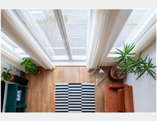 Wohnzimmer mit Holzfußboden und großer Fensterfront mit weißen Vorhängen. Im Raum befinden sich eine orangefarbene Couch, ein schwarz-weiß gestreifter Teppich, mehrere Zimmerpflanzen in Töpfen und ein kleiner Glastisch.