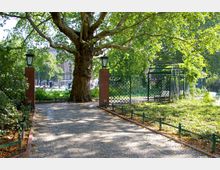 Gepflasterter Weg in einem Park mit einem großen, ausladenden Baum im Vordergrund. Der Weg ist von zwei Backsteinpfeilern mit Laternen gesäumt, dahinter befinden sich ein Metallzaun und eine Pergola aus grünem Gitterwerk.