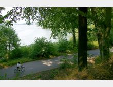 Ein asphaltierter Weg führt durch einen dicht bewachsenen Wald mit hohen Bäumen und Büschen, im Hintergrund ist ein ruhiger See zu sehen. Ein Radfahrer fährt auf dem Weg entlang, der von Schatten der umliegenden Bäume bedeckt ist.