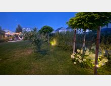 Garten im Wohngebiet in der Dämmerung mit Rasenfläche, jungen Bäumen und einer hohen Hecke entlang der Grundstücksgrenze. Bodeneinbaustrahler beleuchten Pflanzen und weiße Blüten, im Hintergrund sind eine Terrasse mit Lichterkette und Hängematte sowie Häuserdächer zu sehen.