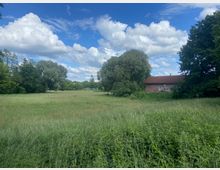 Weite Wiese mit hohem Gras und vereinzelten Bäumen, flankiert von einem kleinen Gebäude mit Ziegeldach am rechten Bildrand. Im Hintergrund blauer Himmel mit weißen Wolken.