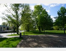 Parklandschaft mit weitläufigen Grünflächen und großen, belaubten Bäumen, von Sonnenlicht durchzogen. Rechts im Bild ist ein gepflasterter Weg, links ein moderner Gebäudeteil mit Glasfenstern sowie ein Gehweg, der an einer Straße entlangführt.