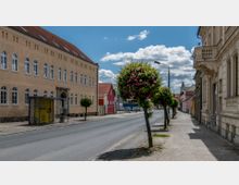 Straßenszene in einer Kleinstadt mit gepflastertem Gehweg, Bäumen mit rosa Blüten und Gebäuden mit verschiedenen Fassadenstilen, darunter ein langes, gelbliches Gebäude mit weißen Fenstern. Im Vordergrund eine Bushaltestelle, im Hintergrund ein Kirchturm bei sonnigem Wetter mit leicht bewölktem Himmel.