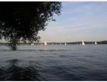 Ein See mit ruhiger Wasseroberfläche, vereinzelt von weiß besegelten Booten durchzogen, im Hintergrund eine bewaldete Uferlinie. Im Vordergrund ragen Äste eines Baumes hinein.