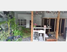 Ein gemütlicher Wellnessbereich mit saftig grünen Pflanzen, einer Liegefläche mit grünen Kissen, einer stilvollen Holzsauna im Hintergrund und einem Regal mit Buddha-Statue und dekorativen Elementen. Eine Kristalllampe hängt von der Decke, und die Gestaltung schafft eine entspannte Atmosphäre.