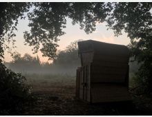 Ein Strandkorb aus Holz und Geflecht steht auf einer Lichtung, umgeben von Bäumen mit dichtem Blattwerk. Im Hintergrund liegt eine nebelige Wiese bei Sonnenuntergang.