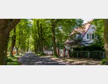 Baumgesäumte Wohnstraße mit einem Gehweg und einer schmalen Fahrbahn, flankiert von hohen Laubbäumen. Rechts im Bild steht ein weißes Haus mit rotem Schrägdach und grünen Fensterläden, umgeben von einem Garten und einem Zaun.