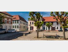 Historischer Platz mit Kopfsteinpflaster, umgeben von Fachwerk- und Putzgebäuden mit roten Ziegeldächern; im Vordergrund stehen Bäume mit geschnittenem Laub und eine schlichte Bank.