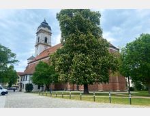Kirche mit einem hohen Turm und rotem Ziegeldach, umgeben von blühenden Kastanienbäumen und einer gepflasterten Fläche im Vordergrund. Der Himmel ist bewölkt, und im Hintergrund sind weitere Gebäude sichtbar.