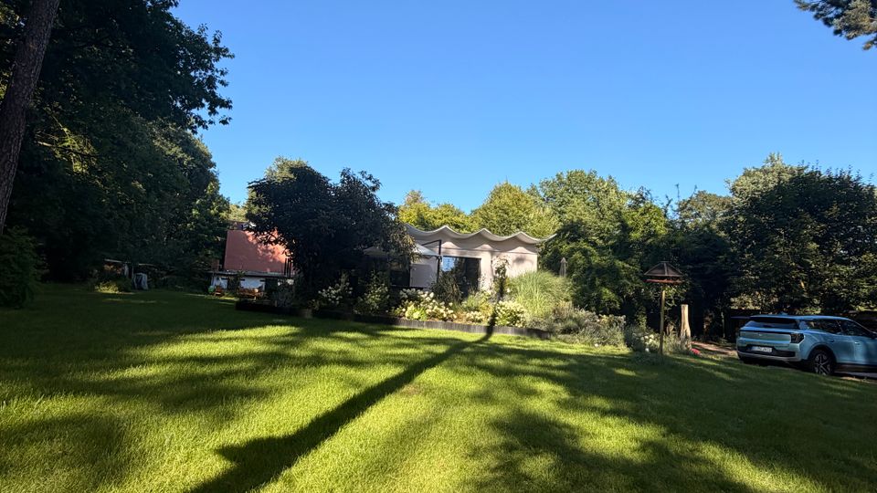 Große, sonnige Rasenfläche in einem baumbestandenen Garten mit langgezogenen Schatten, im Hintergrund ein niedriges Haus mit wellenförmigem Dach und üppigen Beeten. Rechts am Rand stehen geparkte Autos neben Büschen und Bäumen unter klarem blauem Himmel.
