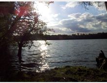 Ein Seeufer mit Bäumen im Vordergrund, deren Äste ins Wasser reichen, während die Sonne tief steht und Lichtreflexe auf der Wasseroberfläche erzeugt. Im Hintergrund sind Wälder und eine teils wolkenbedeckte Himmelsszenerie zu sehen.