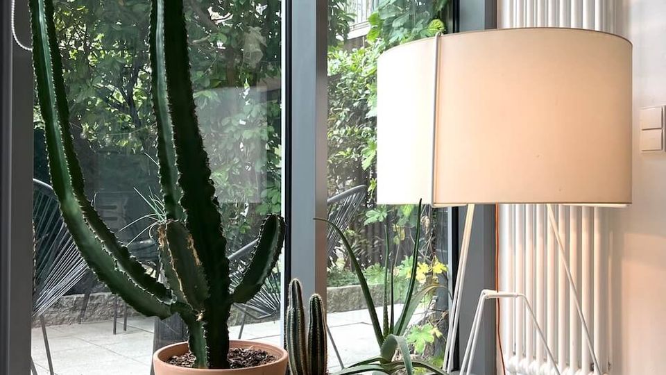 Indoor corner by a floor-to-ceiling glass door, with several potted cacti and succulents arranged on a low wooden cart with caster wheels. Outside the glass is a small patio with chairs and dense greenery, and inside there is a white floor lamp and vertical radiator along the wall.