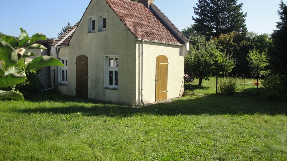 Kleines, freistehendes Häuschen mit hellem Putz, rotem Ziegeldach und zwei Holzläden an den Türen, neben einem Anbau. Es steht in einem grünen Garten mit Rasen, Zaun und hohen Bäumen im Hintergrund unter blauem Himmel.