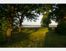 Wiese mit hohem Gras und Schatten von Bäumen im Vordergrund, umgeben von großen Laubbäumen. Dahinter schließt sich ein Ufer mit Schilf an, im Hintergrund ist ein See mit bewaldetem Horizont zu sehen.