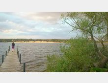 Ein Steg aus Holz ragt in einen See, auf dem eine Person am Ende steht und in die Ferne blickt. Im Hintergrund sind ein sandiger Uferbereich, eine Baumreihe und bewölkter Himmel zu sehen, während rechts ein Baum mit weit ausladenden Ästen das Bild ergänzt.