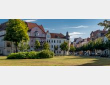 Eine städtische Wohnstraße mit historischen Gebäuden im Jugendstil, die durch ornamentale Fassaden und spitz zulaufende Dachformen hervorsticht. Im Vordergrund befindet sich eine offene Grünfläche mit Bäumen und Büschen, im Hintergrund stehen geparkte Autos entlang der Straße.