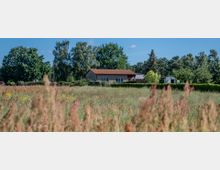 Eine einfache, einstöckige Haus mit rotem Dach steht inmitten einer grünen Landschaft, umgeben von Bäumen und einem großen Feld mit Gräsern und Wildblumen im Vordergrund. Im Hintergrund sind dichte Bäume und ein blauer Himmel zu sehen.