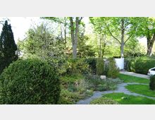 Garten mit grüner Vegetation, darunter geschnittene Büsche, Bäume und Rasenflächen, sowie ein gepflasterter Gehweg. Im Hintergrund ist eine Hecke und ein weißes Tor zu sehen, daneben steht ein geparktes Auto.